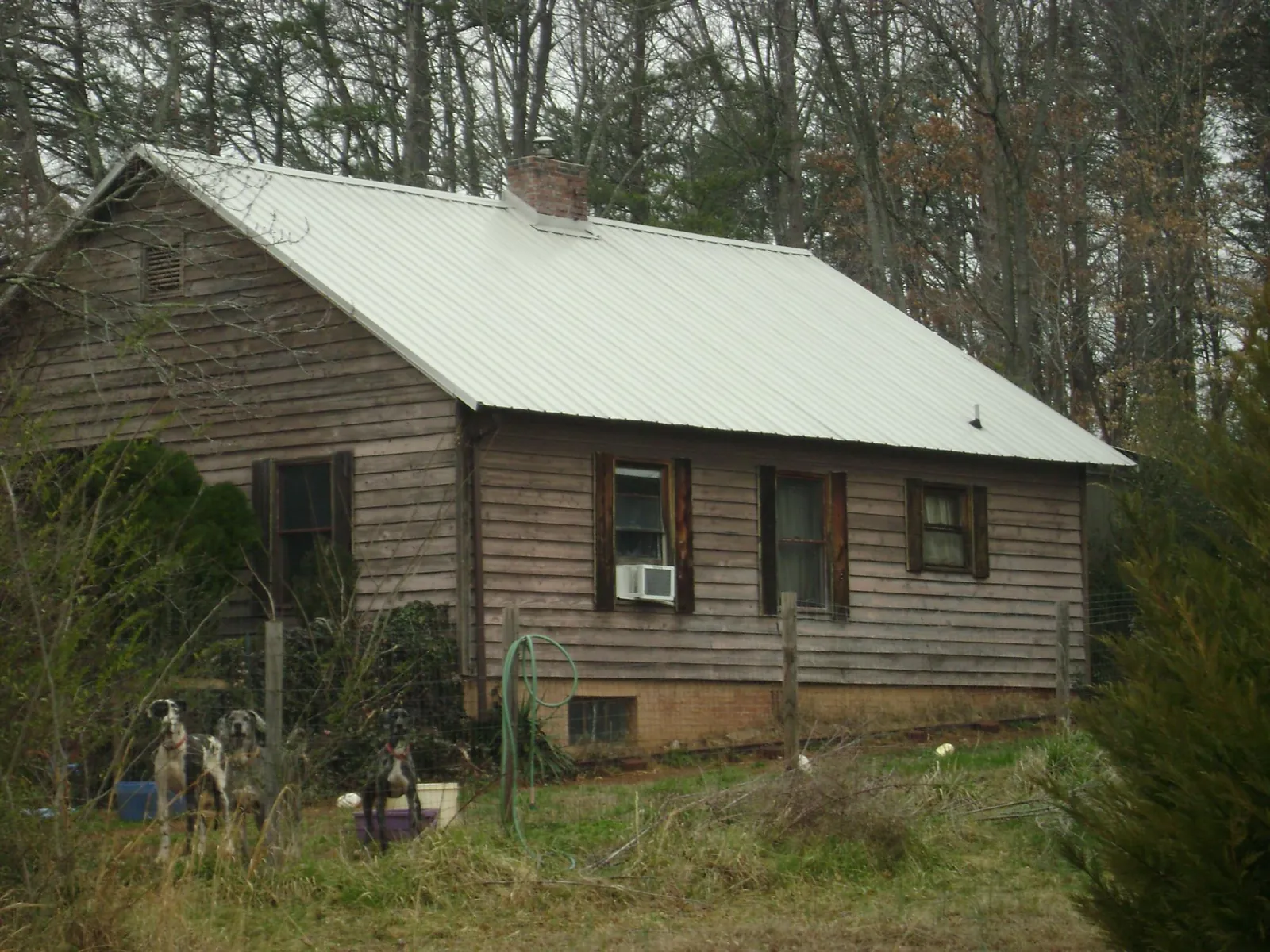 White metal roof on an old wood sided farmhouse, from a Metal Roof Installation job in Nederland